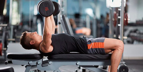 Best Weight Bench Workout Scoop It