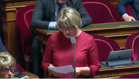 La sénatrice interpelle le Ministre de l’Ecologie sur les prédations d’ours et leurs conséquences sur le pastoralisme | Vallées d'Aure & Louron - Pyrénées | Scoop.it