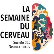 La Semaine du Cerveau 2019 à NeuroSpin du 11 au 15 mars 2019 | Life Sciences Université Paris-Saclay | Scoop.it