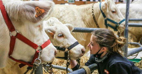 Salon Agrimax : rendez-vous du 27 au 29 octobre au parc des expositions de Metz | Actualité Bétail | Scoop.it