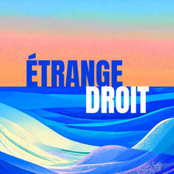 &Eacute;trange droit | Savoirs de base, Illettrisme et FLE | Scoop.it