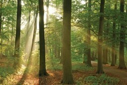 Groups urge Congress to increase federal conservation funding | Timberland Investment | Scoop.it