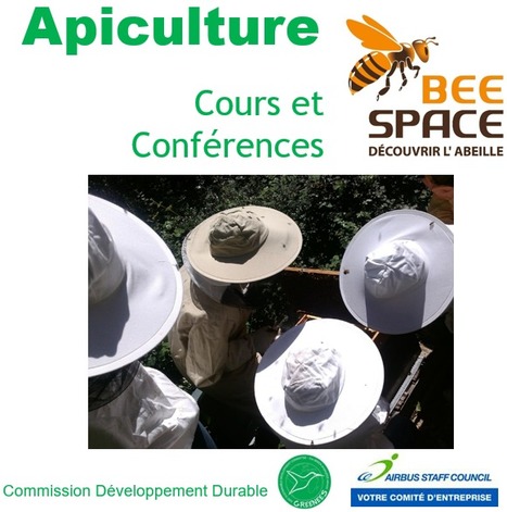 Aisc Greenees The Green Employees Scoop It