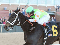 Shippers Invade for Oaklawn's Fantasy | BloodHorse.com | Racing News | Scoop.it