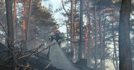 Allemagne. Forêt-Noire : alerte rouge aux incendies | Alsace Actu | Scoop.it