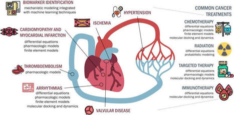 Liver cancer: a geometric approach to fractals