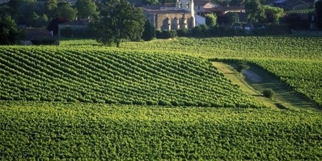 Aquitaine : un écosystème riche d'innovations | Entreprises implantées en Nouvelle-Aquitaine | Scoop.it