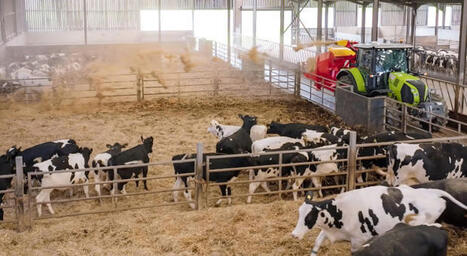 Élevage : L'ordinateur embarqué Neousys Edge AI transforme la mélangeuse autonome d'un outil mécanique en un collaborateur intelligent | SCIENCES DE L' ANIMAL | Scoop.it