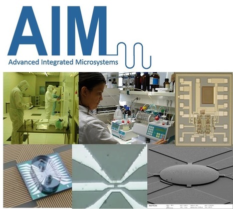 Applications for the FCT-PhD Program on Advanced Integrated Microsystems | iBB | Scoop.it