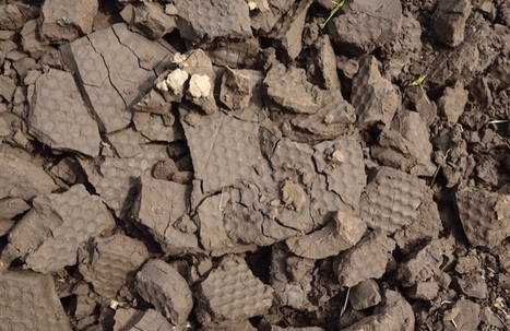 A Epernay, Veolia recycle les boues de station d’épuration pour l’industrie de la céramique | ITERG Environnement et Eco-industries | Scoop.it