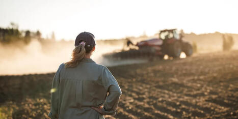 Pr&eacute;carit&eacute; agricole : 43% des agriculteurs fran&ccedil;ais vivent sous le SMIC | Economie de l'Elevage | Scoop.it