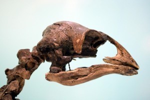 Jurassic Park Impossible Because of Stupid Laws of Physics | Dr. Goulu | Scoop.it