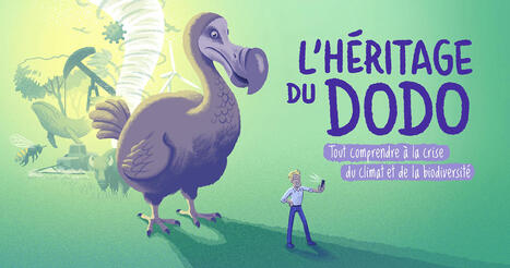 L’Héritage du dodo - Le premier chapitre "Biodiversité mon amour !" est sorti ! | Life Sciences Université Paris-Saclay | Scoop.it