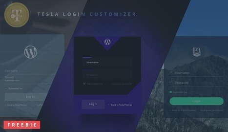 WordPress Plugin Freebie: Tesla Login Customizer | Freakinthecage Webdesign Lesetips | Scoop.it