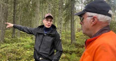 Intresset f&ouml;r att skydda skog &ouml;kar &ndash; men pengarna r&auml;cker inte till allt | &Ouml;sterbotten | A1Uutiset | Scoop.it
