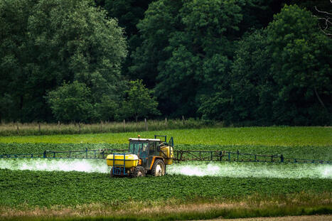 Flupyradifurone&nbsp;: qu&rsquo;est-ce que ce pesticide controvers&eacute; r&eacute;introduit par la loi agricole ? | POLITIQUES ENVIRONNEMENTALES ET CLIMATIQUES, RSE, FINANCES "VERTES", INFORMATIONS GENERALES | Scoop.it