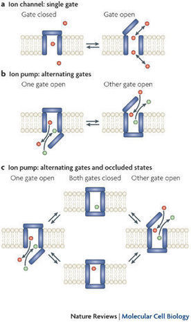 Philips Ecg Semiconductors Master Replacement Guide