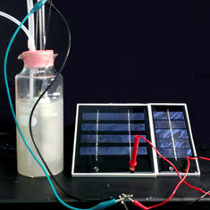 Microbes Help to Convert Solar Power to Liquid Fuel | Amazing Science | Scoop.it