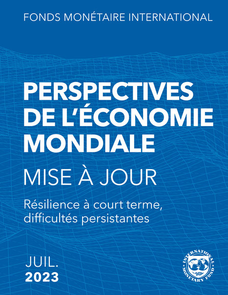 Perspectives de l’économie mondiale - Résilience à court terme, difficultés persistantes - FMI | Biodiversité | Scoop.it