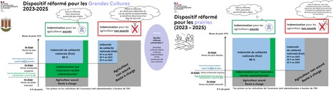 Assurance récolte 2023-2025 : la réforme en 6 graphiques et 6 groupes d’espèces | Lait de Normandie... et d'ailleurs | Scoop.it