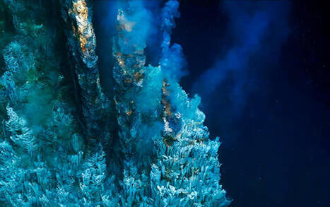 DURABILITES : Fonds marins&nbsp;: quelles cons&eacute;quences sur la biodiversit&eacute; d&rsquo;une exploitation massive&nbsp;? | Revue de presse - Club DEMETER | Scoop.it