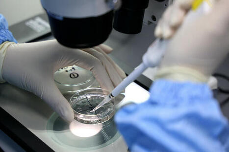 « La science est engagée dans un productivisme qui fait des ravages » | Toxique, soyons vigilant ! | Scoop.it