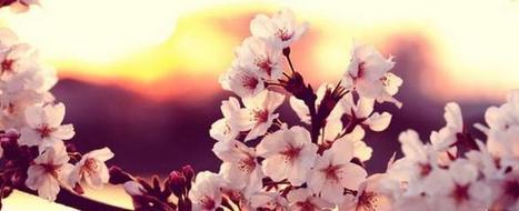 Center for Mindful Self-Compassion | Self-Empathy | Scoop.it