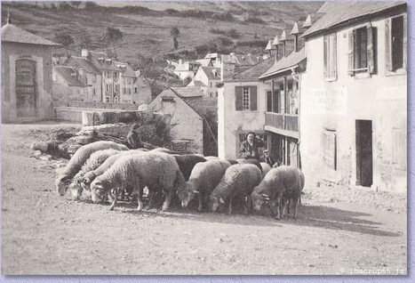 Expédition dans le passé des Pyrénées | Vallées d'Aure & Louron - Pyrénées | Scoop.it