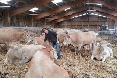 Pays basque : il soigne ses vaches aux huiles essentielles | La Cabane aux Arômes | Scoop.it
