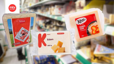 Halpa ja hyvä juusto? Testasimme edamit | Makuja | MTV Uutiset | 1Uutiset - Lukemisen tähden | Scoop.it