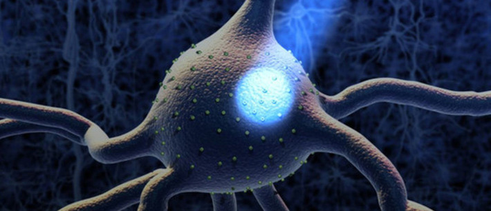 Is this the key to fighting Alzheimer's? | The Health Report | Scoop.it
