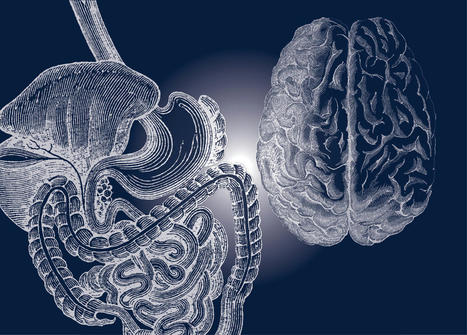 Factors That Can Affect The Brain | Part 2 | Call: 915-850-0900 | The Gut "Connections to Health & Disease" | Scoop.it