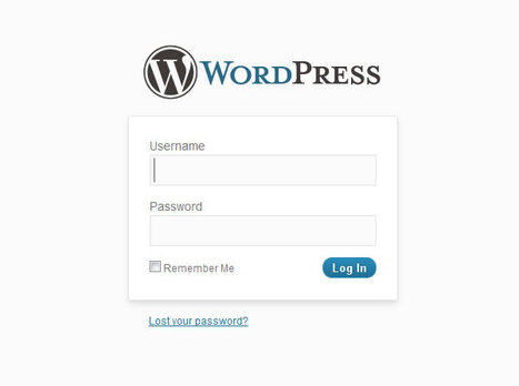 Customizing WordPress For Your Clients | youyouk | Scoop.it