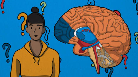 How the Brain Weighs Risk as Covid-19 Restrictions Ease | dis.infected | Scoop.it
