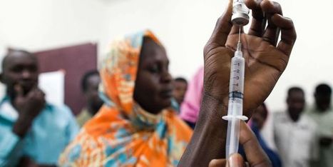 [Soudan] Une grave épidémie de fièvre jaune touche le Darfour | Toxique, soyons vigilant ! | Scoop.it