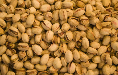 Pyr&eacute;n&eacute;es-Orientales : R&eacute;sistante &agrave; la s&eacute;cheresse, la pistache est le nouvel eldorado des agriculteurs | (Macro)Tendances Tourisme & Travel | Scoop.it