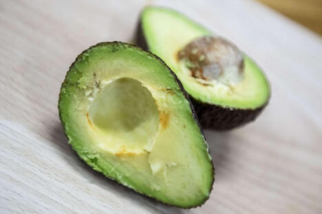 Avokadoihin suuri mullistus | 1Uutiset - Lukemisen t&auml;hden | Scoop.it