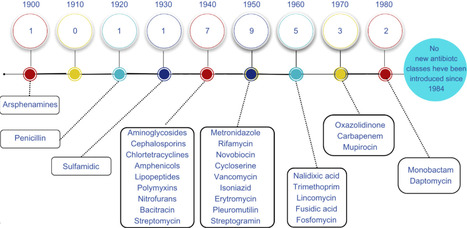 Antibiotic Resistance Crisis: From Bacterial Bioprospecting to Artificial Intelligence | emb | RMH | Scoop.it