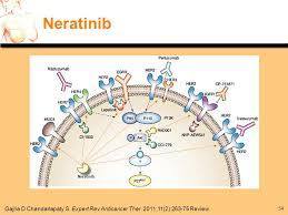 neratinib fda