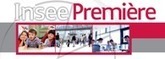 Le commerce de biens culturels à l'heure d'Internet et de la dématérialisation - INSEE | Distribution - Innovation | Scoop.it
