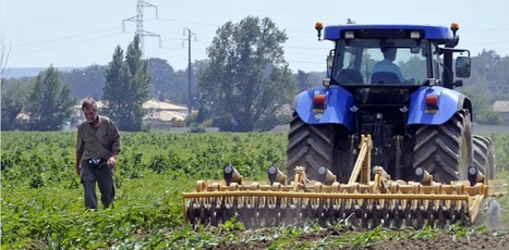 Pour en finir avec les pesticides, il faut aussi des agriculteurs dans les champs | CIHEAM Press Review | Scoop.it