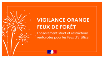 Vigilance feux de for&ecirc;t : encadrement strict et restrictions renforc&eacute;es pour les feux d&rsquo;artifice&nbsp; | Landes - Conseils municipaux & communautaires | Scoop.it