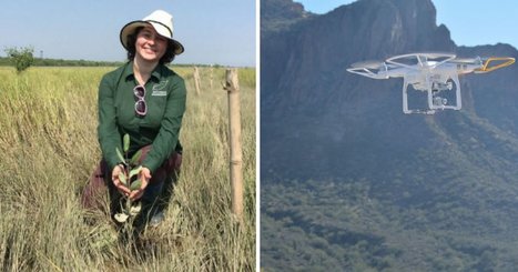 These tree-planting drones are firing ‘seed missiles’ into the ground. Less than a year later, they’re already 20 inches tall. | Remotely Piloted Systems | Scoop.it