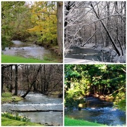 Seasonal Baby Names For Winter, Spring, Summer, Fall | Name News | Scoop.it