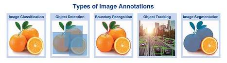 Types of Image Annotations | Data Management Solutions | Scoop.it