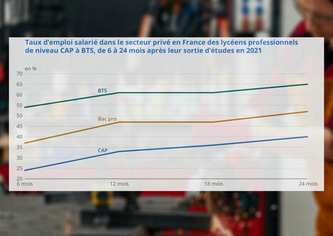 L&rsquo;Insee cartographie les &eacute;volutions r&eacute;centes en mati&egrave;re d&rsquo;emploi des jeunes | &Eacute;ducation, jeunesse et sports | Scoop.it