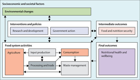 Food systems, nutrition, health and the environment | DURABILITES | Scoop.it