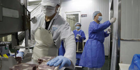 La Chine pointe les importations alimentaires comme une source de contamination possible | Revue de presse du Centre de doc | Scoop.it