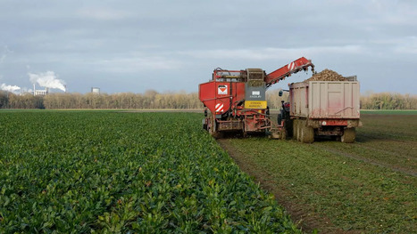 Les agriculteurs soulagés par l'adoption définitive de la loi Duplomb - les Echos | Agriculture en Pays de la Loire | Scoop.it