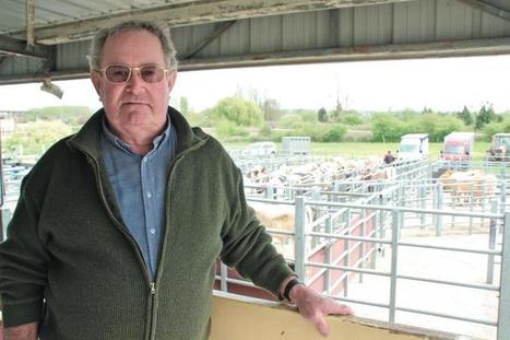 Faire un tour au marché au cadran de St Pierre sur Dives (14) | La Gazette des abattoirs | Scoop.it